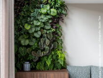 Zitbank in LR28 Riga met plantenwand